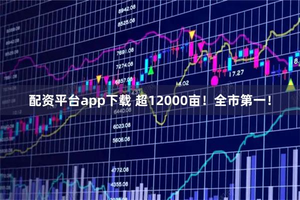 配资平台app下载 超12000亩！全市第一！